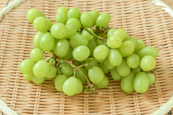 シャインマスカット（B）1kg