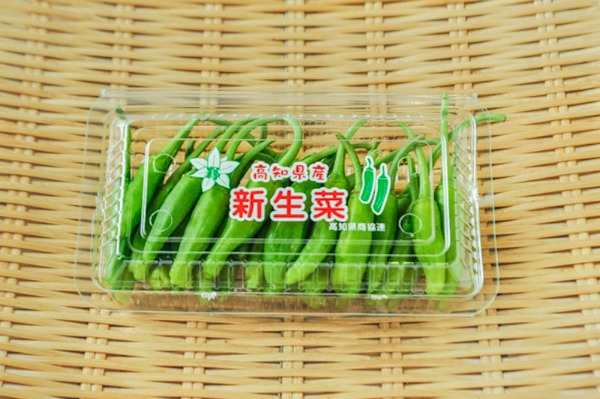ししとう（Ｍ）