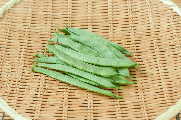 モロッコいんげん 【業務用食材の仕入れなら八面六臂】