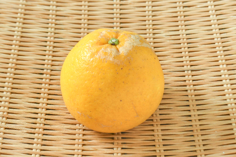 みしょうゴールド（3L） 【業務用食材の仕入れなら八面六臂】