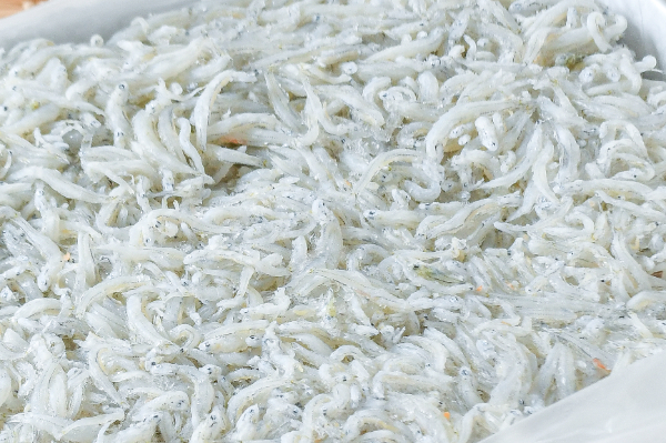 （かじや水産）釜揚げしらす