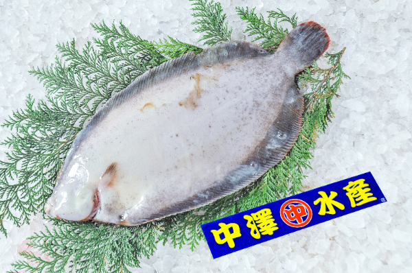 ナメタガレイ（オス）