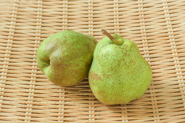 デュセス・ダングレーム