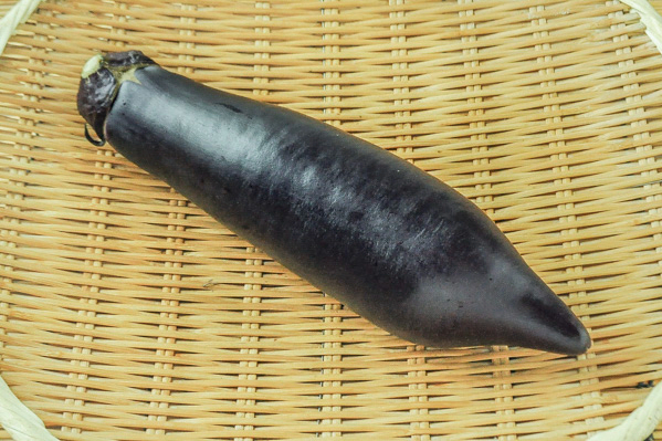 永井　熊本赤茄子