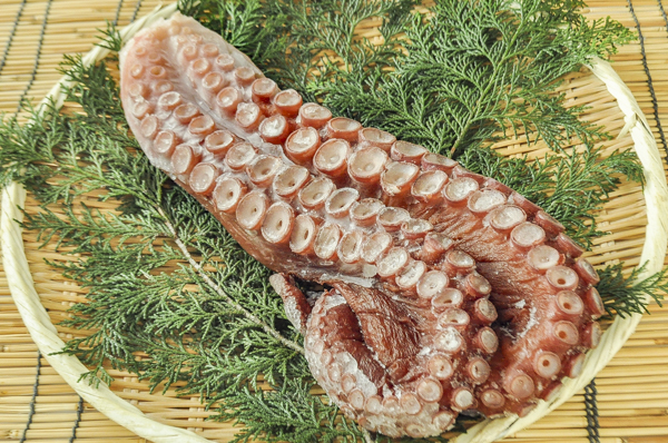 ボイルヤナギダコ足