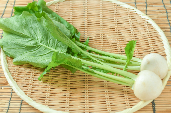 かぶ（L）
