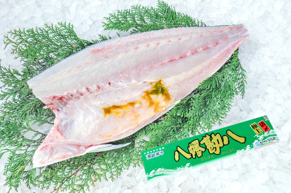 ヒラマサ（平政） 【業務用食材の仕入れなら八面六臂】