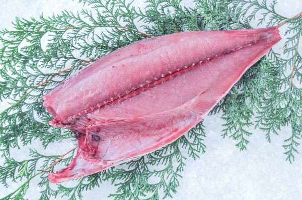 コシナガマグロ（定置網）（半身）