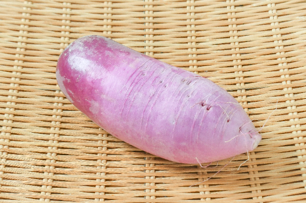 紫大根（味一）（7本サイズ）