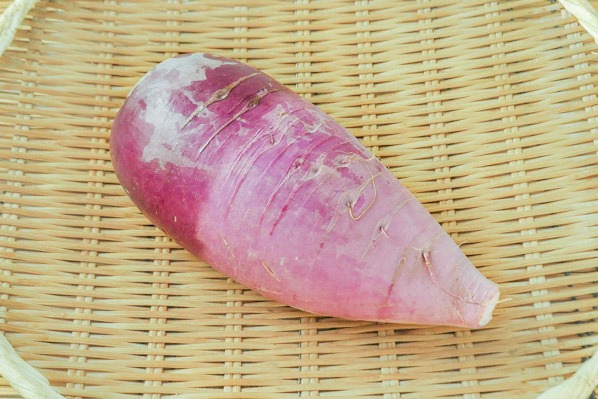 紫大根（味一）（6本サイズ）