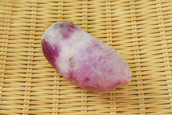 紫大根 味一 八面六臂