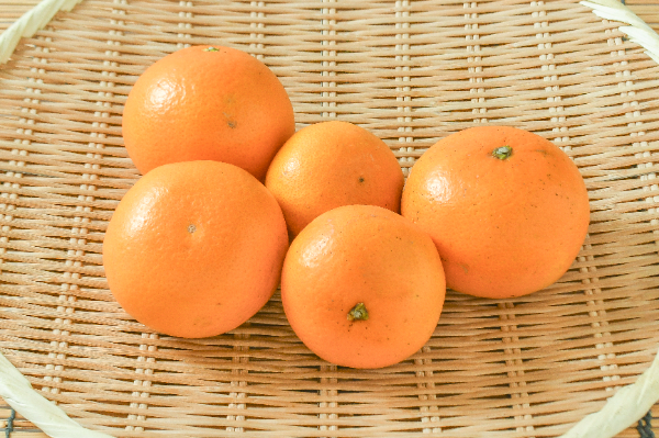 清見オレンジ（L）