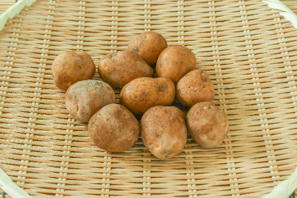 フルーツヨーグルトやみかんのわかめの酢の物入ってそう居酒屋 食器まとめ売り - 生活雑貨