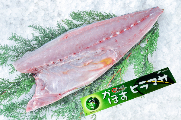 かぼすヒラマサ（半身）