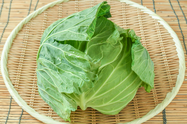 きゃべつん  カットキャベツ角切り（20X20） 【業務用食材の仕入れなら八面六臂】