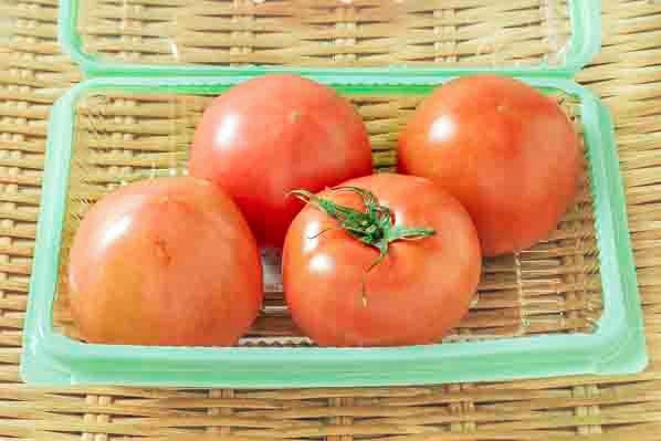 栃木トマト　４玉入