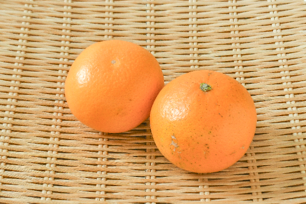 清見オレンジ（L）
