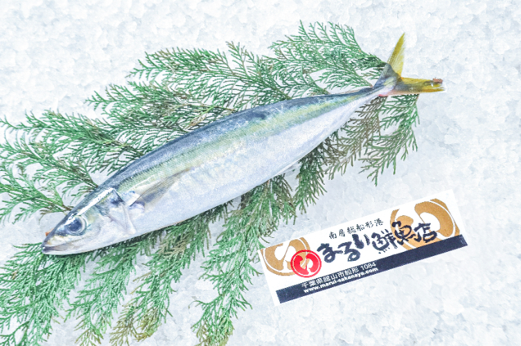 ⚠️コロミー⚠️⑤⑥キタアカリ・ピルカ 各3kg Sサイズ キタアカリ（3S） 【業務用食材の仕入れなら八面六臂】