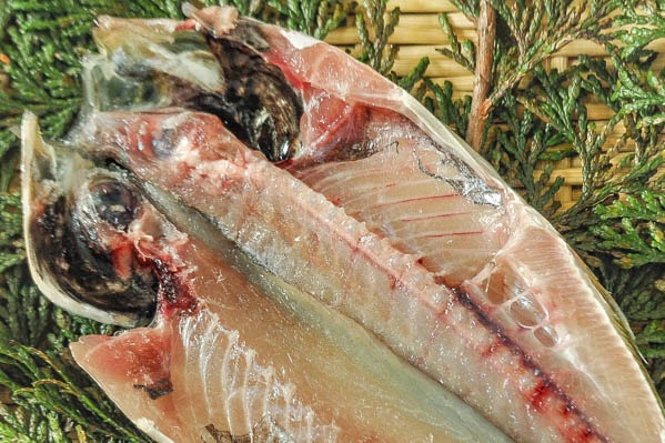 瀬付きアジ開き　60－80gr (1)