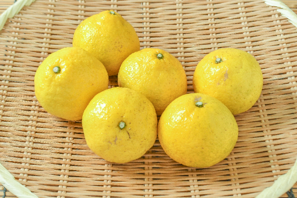 みかん＊ みかんサマ♡㌻ みかん様 みかん10個 みかん様 ミカン様 ミカン様 蜜柑