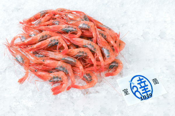 室蘭丸達水産　甘エビ（北海道室蘭産）500gr