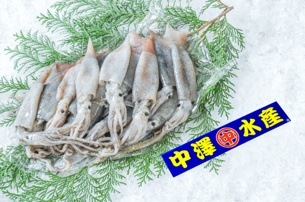 スルメイカ（底曳網）