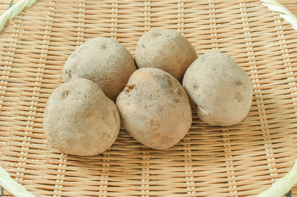 オホーツクチップ（2L）1kg