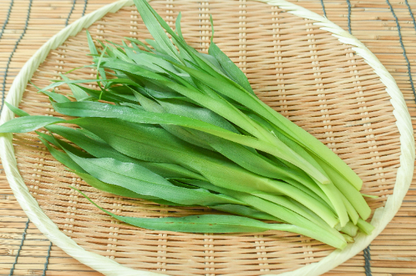 かんぞう かんぞう（芽） 【業務用食材の仕入れなら八面六臂】