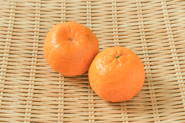 ポンカン（L） 【業務用食材の仕入れなら八面六臂】