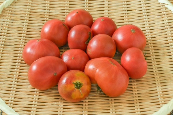 美トマト（銀S）（糖度8度）
