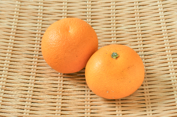 紅八朔 紅八朔（S） 【業務用食材の仕入れなら八面六臂】
