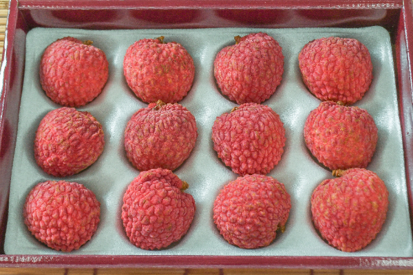 ライチ（秀）