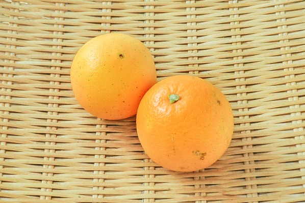 中嶋さんのネーブルオレンジ