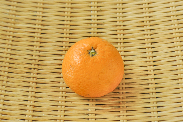西岩　清見オレンジ（2L）