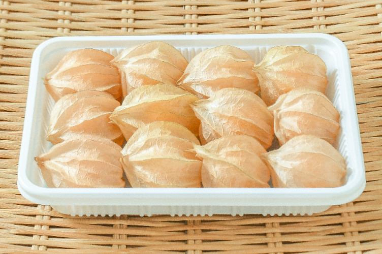 ほおずき（観賞） 【業務用食材の仕入れなら八面六臂】