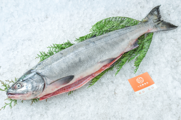 小西鮮魚店　龍銀（秋鮭）（オス）（セミドレス）（北海道函館産）