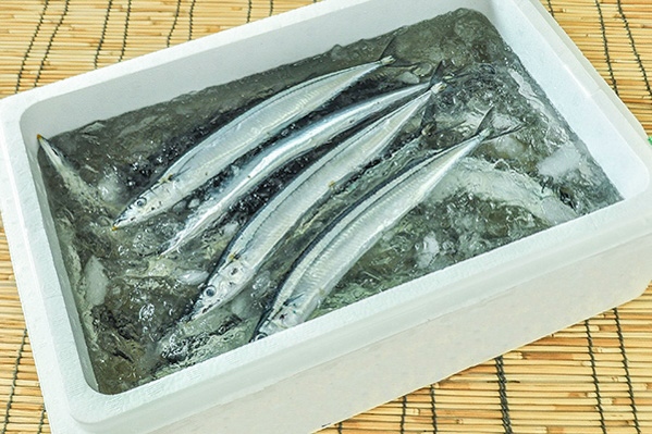 新サンマ（4kg27入サイズ）