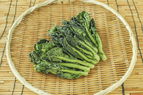 ゆき菜 八面六臂