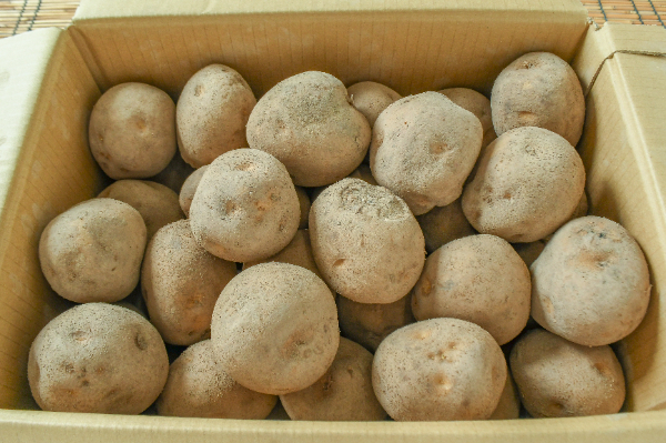 オホーツクチップ（2L）箱10kg