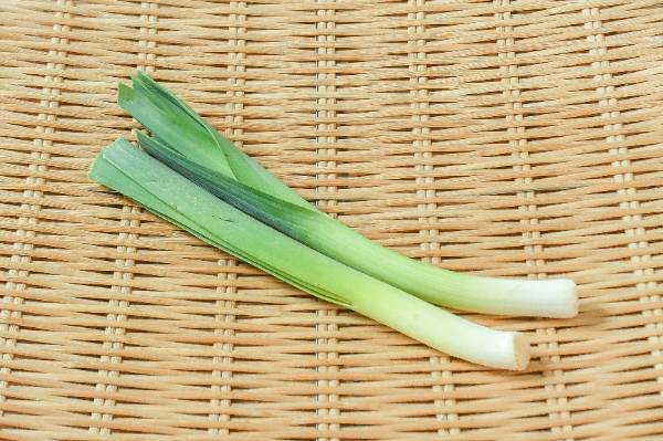 リーキ（ポロネギ） 【業務用食材の仕入れなら八面六臂】