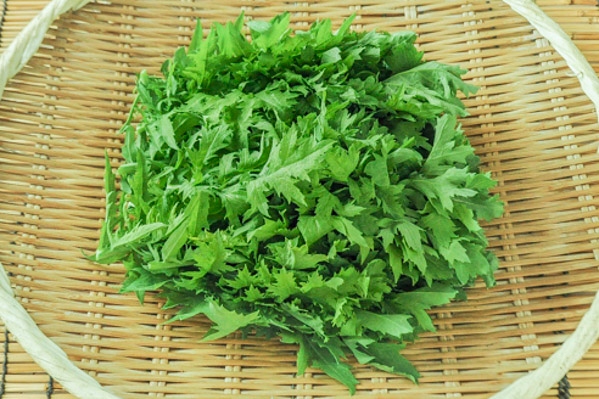 奥村さんの農薬不使用わさび菜