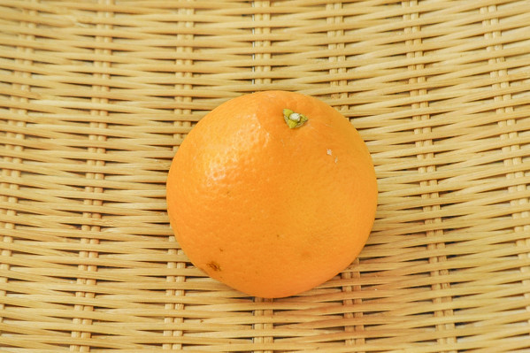 清見オレンジ（4L）