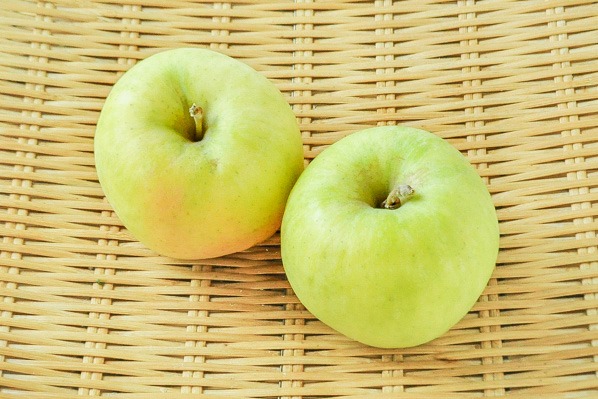 りんご（ぐんま名月）（40玉サイズ）