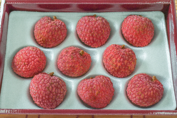 ライチ（秀）