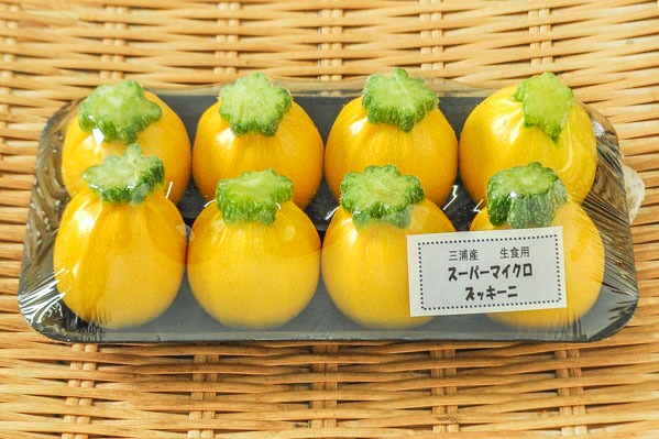 マイクロ丸ズッキーニ 黄 八面六臂