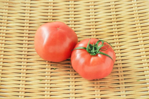 大玉トマト（L）（14玉サイズ）