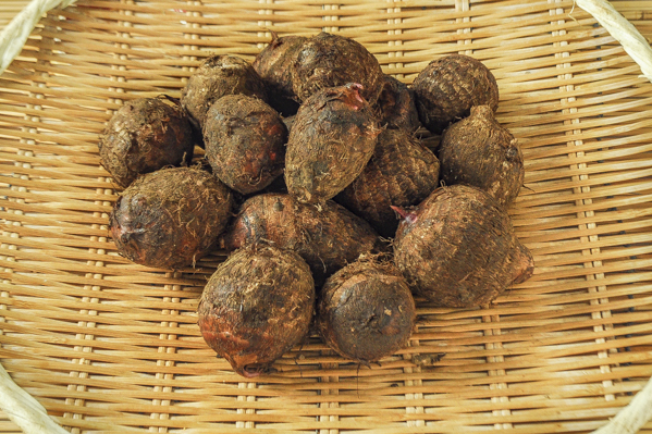 セレベス 八面六臂