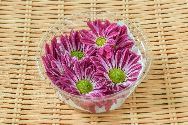 食用菊（ジュエルマム）（紫）