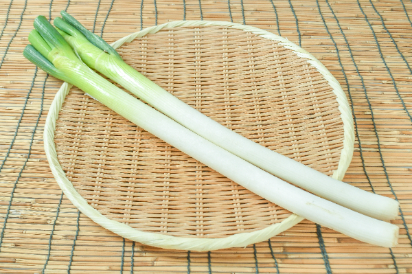 平山さんの長ねぎ（2L）