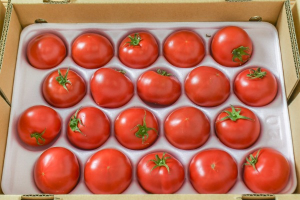 中玉トマト（S）箱1kg